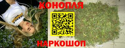 прущие грибы Брянск