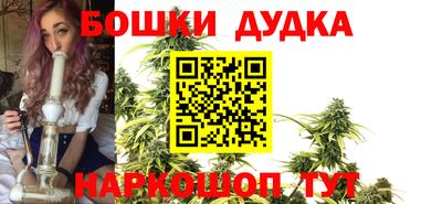 прущие грибы Брянск
